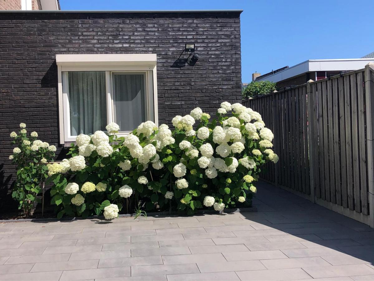 Zoutelande Koddelaan vakantiewoning Buitenkant foto